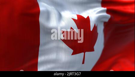 Vue rapprochée du drapeau national canadien agitant sous le vent. Est un pays en Amérique du Nord. Arrière-plan texturé en tissu. Mise au point sélective Banque D'Images