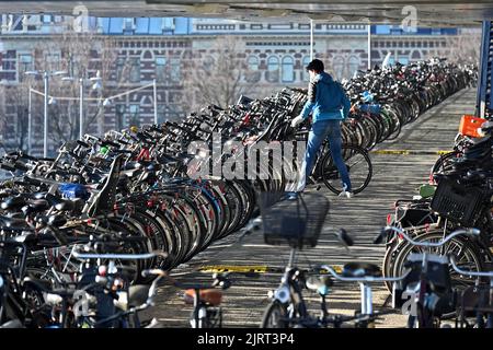 Pays-Bas, Amsterdam: Homme parking son vélo au milieu de milliers d'autres à la gare centrale de vélo parc Banque D'Images