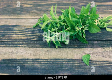 Feuilles de menthe fraîche herbe sur fond de bois avec espace de copie. Filtre vintage. Banque D'Images