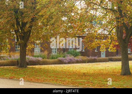 Bicester, Oxfordshire, 26 août 2022. MÉTÉO : le Royaume-Uni connaît les premiers signes de l'automne depuis 20 ans, en raison des températures extrêmes et de la sécheresse qui a suivi. Le bureau du met a déclaré que les températures pourraient à nouveau atteindre 30C pendant le week-end des fêtes de banque. Dans certaines parties du Royaume-Uni, les arbres ont commencé à laisser tomber leurs feuilles et les baies mûrissent des semaines avant le calendrier, au milieu de températures estivales records. Credit Bridget Catterall/Alamy Live News Banque D'Images