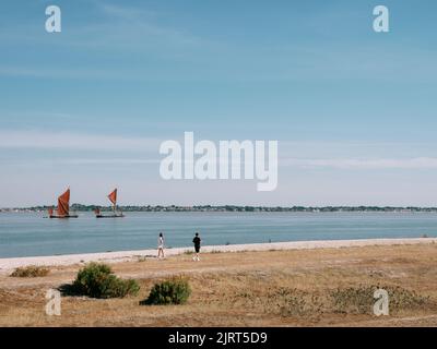 Promenade sur la plage à Bradwell Waterside et deux barges de voile rouges historiques sur la Tamise sur l'estuaire de Blackwater, Bradwell on Sea, Essex, Angleterre Banque D'Images