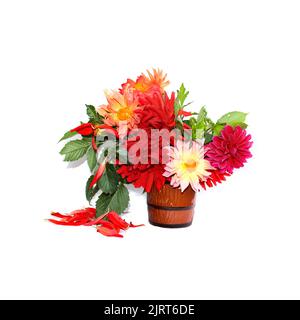 dahlias à aiguille rouge jaune coloré dans un mug en céramique, pétales dispersés isolés sur blanc Banque D'Images