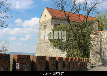 Tour en pierre et couverte de lierre du château avec toit carrelé. Paysage avec un bâtiment médiéval Banque D'Images