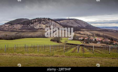 Belle vue d'automne de Palava / Devin, République tchèque - région de Moravie du Sud région viticole. Banque D'Images