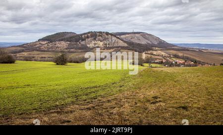 Belle vue d'automne de Palava / Devin, République tchèque - région de Moravie du Sud région viticole. Banque D'Images