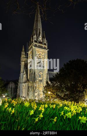 La Cathédrale de Llandaff Banque D'Images