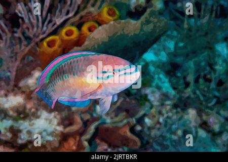 Création numérique de peinture aquarelle d'un parrotfish de princesse dans les eaux de Little Cayman Banque D'Images