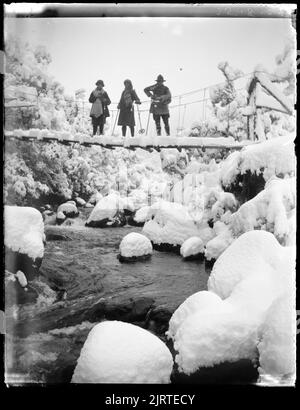 Pont suspendu au-dessus de la Whakapanui sur la route jusqu'à Ruapehu., août 1925, Parc national de Tongariro, par Leslie Adkin. Don de la famille G. L. Adkin, 1964. Banque D'Images