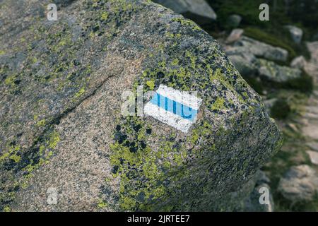 Symbole bleu Trailblazing sur une pierre recouverte de lichens Banque D'Images