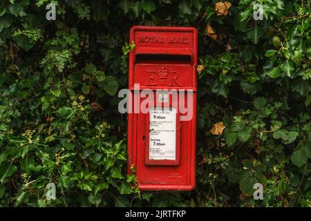 Bicester, Oxfordshire, 26 août 2022. Le premier des quatre jours d'action industrielle, les travailleurs de Royal Mail ont commencé aujourd'hui une action industrielle. Les lettres ne seront pas livrées les jours de grève et certaines livraisons de colis seront retardées. Après 3 mois de discussions, le Syndicat des travailleurs de la communication (CWU), représentant les grévistes, a rejeté une offre de salaire allant jusqu'à 5,5% exigeant une augmentation de salaire « qui reflète plus étroitement le taux actuel d'inflation ». Credit Bridget Catterall / Alamy Live News. Credit Bridget Catterall/Alamy Live News Banque D'Images