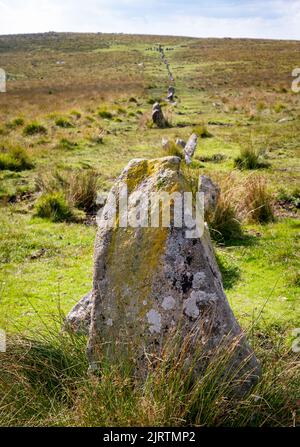 Hingston Hill Stone Row, also called Down Tor row, 1145 feet long, leads to a stone cairn circle at its west end.  Hingston Down, Dartmoor, Devon, UK. Stock Photo