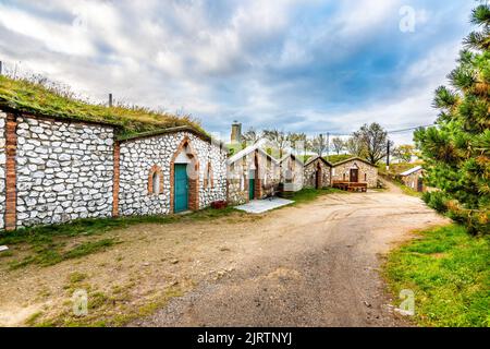 Cave à vin historique traditionnelle du village de Vrbice, région de Moravie du Sud - République tchèque. Petites maisons à vin avec des plantes sur le toit, construit dans le gro Banque D'Images