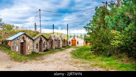 Cave à vin historique traditionnelle du village de Vrbice, région de Moravie du Sud - République tchèque. Petites maisons à vin avec des plantes sur le toit, construit dans le gro Banque D'Images