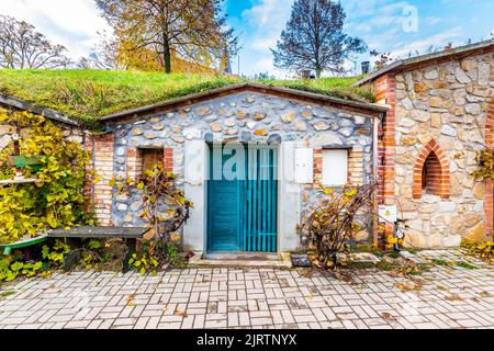 Cave à vin historique traditionnelle du village de Vrbice, région de Moravie du Sud - République tchèque. Petites maisons à vin avec des plantes sur le toit, construit dans le gro Banque D'Images