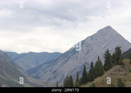 24 août 2022, Srinagar, Jammu-et-Cachemire, Inde : la vallée de Gurez est entourée de montagnes. C'est à environ 80 kilomètres de bandipora et à près de 120 kilomètres de la capitale estivale du Cachemire qui est Srinagar. Il est très entouré de paysages riches. La vallée a une signification particulière pour son célèbre pic connu sous le nom de pic ''Habba khatoon''. La vallée de Gurez est une zone frontalière qui la sépare du Pakistan. C'est un endroit sûr pour les touristes et les habitants de la région à visiter. (Credit image: © Musaib Iqbal Bhat/Pacific Press via ZUMA Press Wire) Banque D'Images