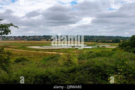 La réserve naturelle de la RSPB de Pulborough Brooks à West Sussex est sèche après des mois sans pluie cet été 2022 Banque D'Images