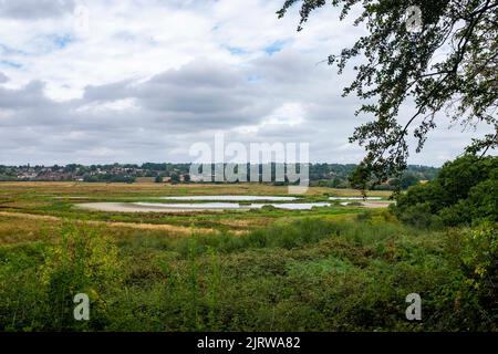 La réserve naturelle de la RSPB de Pulborough Brooks à West Sussex est sèche après des mois sans pluie cet été 2022 Banque D'Images