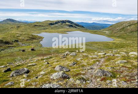Rossjokolltjernet un lac oligotrophe post-glaciaire typique sur Rosskollène près de Lenningen dans les montagnes du centre de la Norvège Banque D'Images