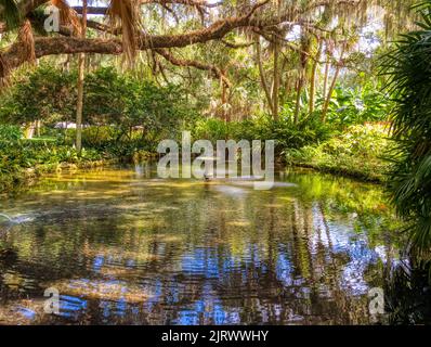 Étang dans le quartier historique de Washington Oaks Gardens State Park à Palm Coast, Floride, États-Unis Banque D'Images