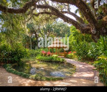 Étang dans le quartier historique de Washington Oaks Gardens State Park à Palm Coast, Floride, États-Unis Banque D'Images