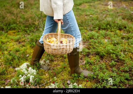 Femme avec panier cueillette de champignons en forêt Banque D'Images