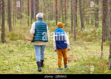 grand-mère et petit-fils avec paniers en forêt Banque D'Images