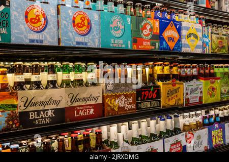 Une sélection de six packs de bière dans une épicerie de New York le mercredi, 24 août 2022. (© Richard B. Levine) Banque D'Images