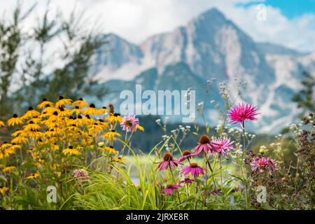 Maria Alm am Steinernen Meer Banque D'Images