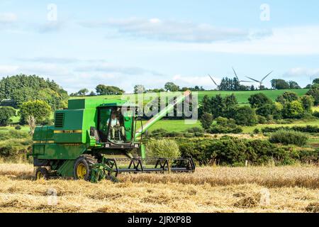 Ballynacarriga, West Cork, Irlande. 26th août 2022. Par temps ensoleillé, Denis Duggan, de Duggan Agri Contractors, récolte de l'orge à l'aide d'une moissonneuse-batteuse John Deere 1177 1992, avec une moyenne de 3,3/t par acre à une teneur en humidité de 17 %. Crédit : AG News/Alay Live News Banque D'Images