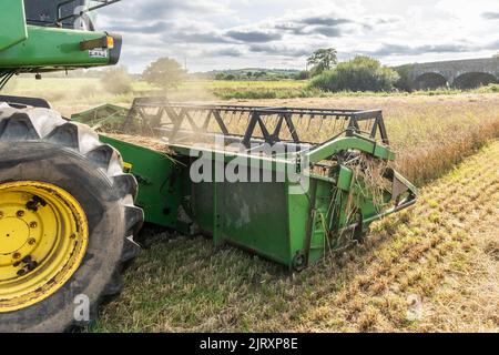 Ballynacarriga, West Cork, Irlande. 26th août 2022. Par temps ensoleillé, Denis Duggan, de Duggan Agri Contractors, récolte de l'orge à l'aide d'une moissonneuse-batteuse John Deere 1177 1992, avec une moyenne de 3,3/t par acre à une teneur en humidité de 17 %. Crédit : AG News/Alay Live News Banque D'Images