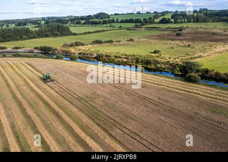 Ballynacarriga, West Cork, Irlande. 26th août 2022. Par temps ensoleillé, Denis Duggan, de Duggan Agri Contractors, récolte de l'orge à l'aide d'une moissonneuse-batteuse John Deere 1177 1992, avec une moyenne de 3,3/t par acre à une teneur en humidité de 17 %. Crédit : AG News/Alay Live News Banque D'Images