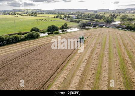 Ballynacarriga, West Cork, Irlande. 26th août 2022. Par temps ensoleillé, Denis Duggan, de Duggan Agri Contractors, récolte de l'orge à l'aide d'une moissonneuse-batteuse John Deere 1177 1992, avec une moyenne de 3,3/t par acre à une teneur en humidité de 17 %. Crédit : AG News/Alay Live News Banque D'Images