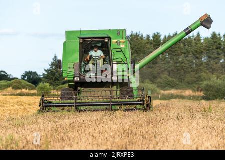 Ballynacarriga, West Cork, Irlande. 26th août 2022. Par temps ensoleillé, Denis Duggan, de Duggan Agri Contractors, récolte de l'orge à l'aide d'une moissonneuse-batteuse John Deere 1177 1992, avec une moyenne de 3,3/t par acre à une teneur en humidité de 17 %. Crédit : AG News/Alay Live News Banque D'Images