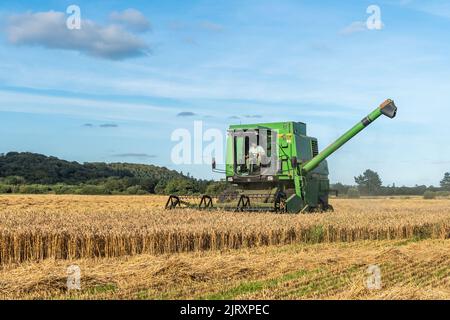 Ballynacarriga, West Cork, Irlande. 26th août 2022. Par temps ensoleillé, Denis Duggan, de Duggan Agri Contractors, récolte de l'orge à l'aide d'une moissonneuse-batteuse John Deere 1177 1992, avec une moyenne de 3,3/t par acre à une teneur en humidité de 17 %. Crédit : AG News/Alay Live News Banque D'Images