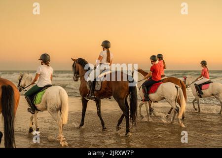 vue arrière d'un groupe de 6 chevaux montés par de jeunes cavaliers qui sillonnant la mer. Banque D'Images