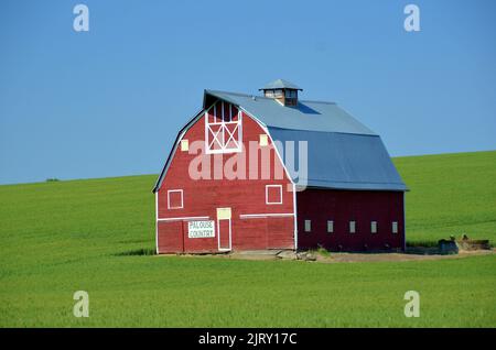 Paysage agricole de la Palouse Prairie dans l'État de Washington Banque D'Images