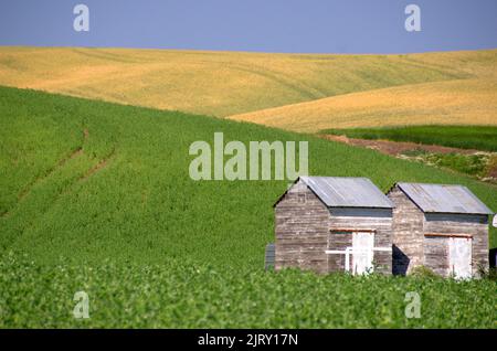 Paysage agricole de la Palouse Prairie dans l'État de Washington Banque D'Images