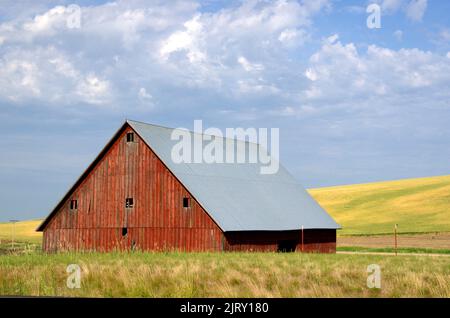 Paysage agricole de la Palouse Prairie dans l'État de Washington Banque D'Images