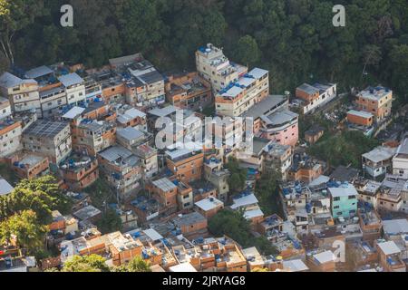 Tabajara la colline vue du sommet de la colline les chèvres à Copacabana Rio de Janeiro. Banque D'Images