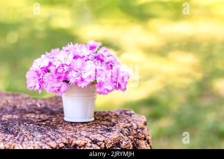 Un bouquet de délicates œillets roses dans un seau décoratif blanc sur une souche sur un fond flou de la nature. Mise au point sélective. Banque D'Images