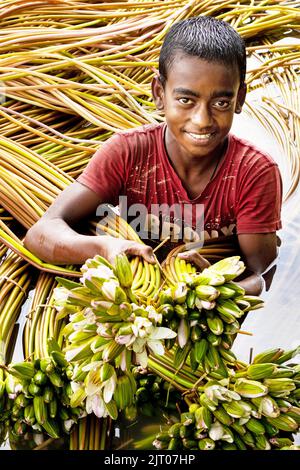 Munshiganj, Dhaka, Bangladesh. 27th août 2022. Un garçon tient des lapins de lilies d'eau pendant qu'il nage pour les ramasser dans les zones humides de Munshiganj, à la périphérie de Dhaka, au Bangladesh. Flottant à travers un canal de 5 000 hectares, les agriculteurs utilisent leurs petits bateaux pour chercher des nénuphars et les vendre sur le marché. Ils commencent à travailler très tôt le matin à partir de 6 heures dans le canal et travaillent jusqu'à l'après-midi. La fleur nationale du Bangladesh, le nénuphars ne fleurit qu'à un moment précis de la Monsoon, de juillet à novembre. Chaque fleur est soigneusement cueillie à la main, récoltée à l'intérieur du petit bateau en bois des agriculteurs, Banque D'Images