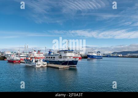 Bateaux dans le port, beaucoup de touristes en voyage, Reykjavik, Islande Banque D'Images