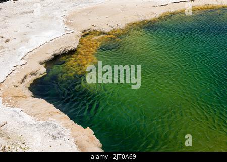 Vue sur l'eau verte de la piscine noire de Yellowstone, parc national de Yellowstone, Wyoming, États-Unis Banque D'Images