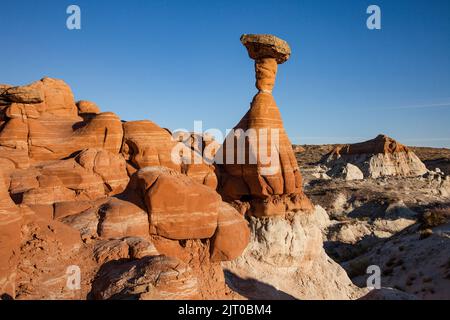 The Red Hoodoo ou Toadstool Hoodoo, Paria Rimrocks, Grand Staircase-Escalante National Monument, Utah. Ce hoodoo est un pilier Entrada en grès Banque D'Images