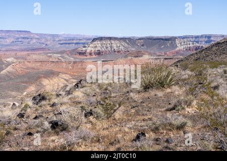 Mesas du désert dans le désert du Grand bassin, dans le sud-ouest de l'Utah. Banque D'Images