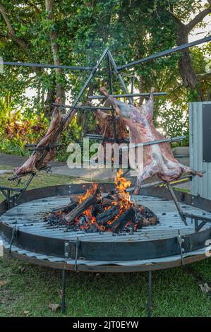 Une broche de rôtissage élaborée au premier plan barbecurant trois agneaux succulents sur une fosse circulaire en acier au feu lors d'un festival à Port Douglas, en Australie. Banque D'Images