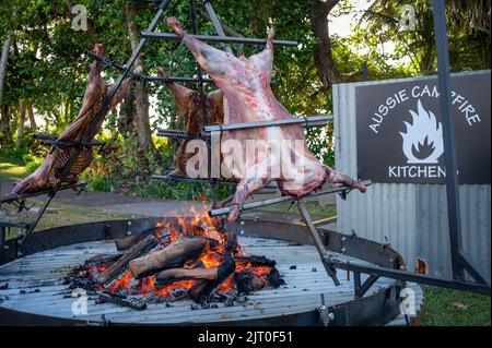 Une broche de rôtissage élaborée au premier plan barbecurant trois agneaux succulents sur une fosse circulaire en acier au feu lors d'un festival à Port Douglas, en Australie. Banque D'Images