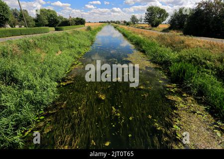 L'été ; Whittlesey Dyke, niveaux près de Bedford village ; Turves ; Fenland Cambridgeshire ; Angleterre ; UK Banque D'Images