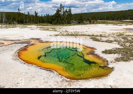 West Geyser dans le bassin Biscuit de Yellowstone, parc national de Yellowstone, Wyoming, États-Unis Banque D'Images