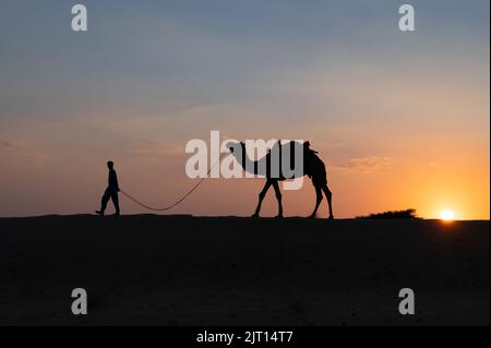 Silhouette d'un jeune caméléer qui conduit un chameau dans des dunes de sable. Coucher de soleil avec ciel bleu en arrière-plan. Banque D'Images